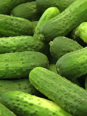Pickling Cucumber'National'