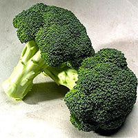 Broccoli 'Gypsy'
