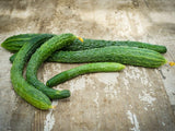 Cucumber 'Suyo Long'