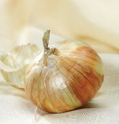 Onion, Sweet 'Walla Walla'