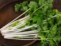 Celery 'Chinese White'